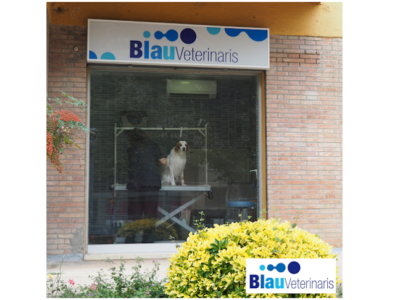 Blau Veterinaris (Arenys de Mar)