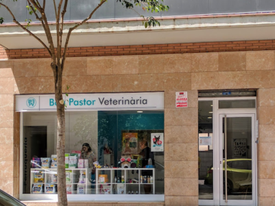 Bon Pastor Veterinària (Barcelona)