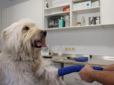 Cal Menescal (Moià)