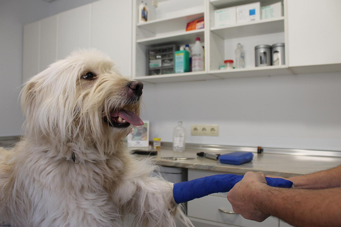 Cal Menescal (Moià)