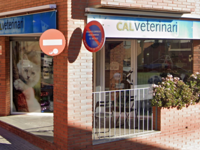 Cal Veterinari (Caldes de Montbui)