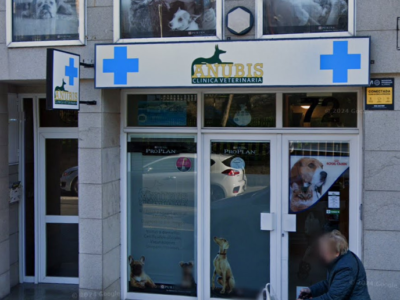 Animalia (A Coruña)