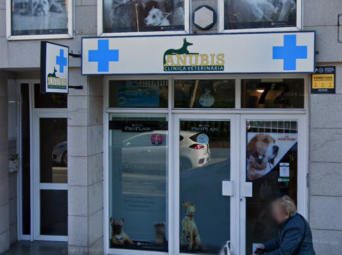 Animalia (A Coruña)