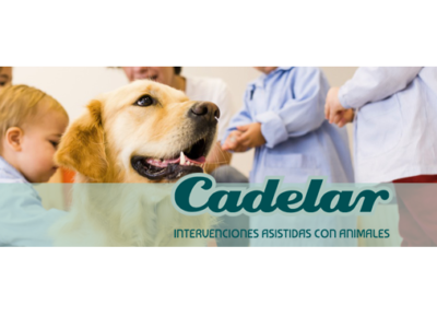 Cadelar - Intervenciones Asistidas con Animales (A Coruña)