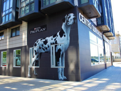 Centro Quirúrgico Veterinario A. Chico (A Coruña)