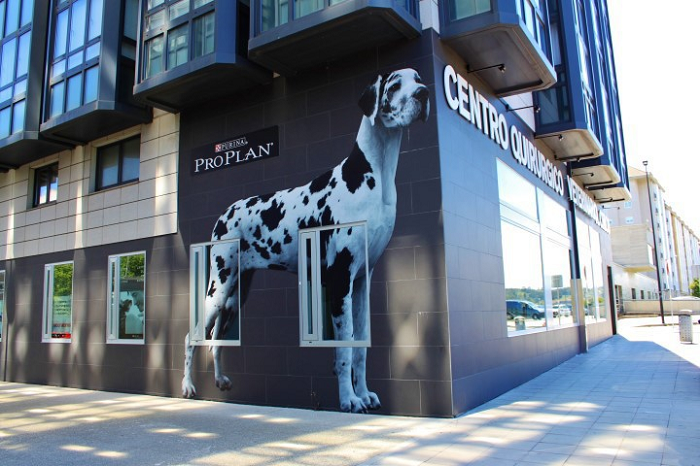 Centro Quirúrgico Veterinario A. Chico (A Coruña)