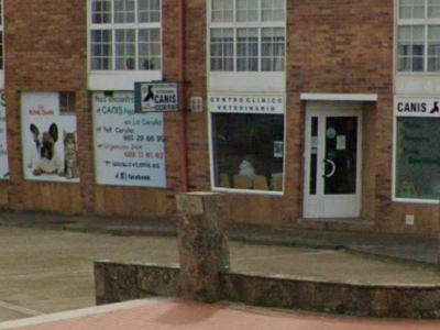 Canis Pajaritas - Mera (Oleiros)