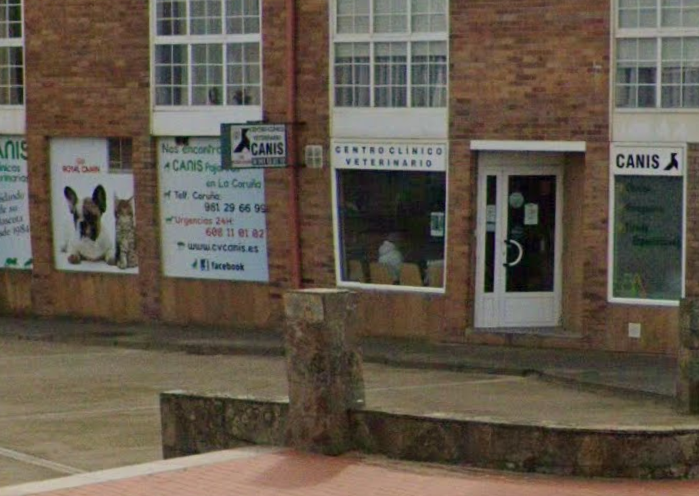 Canis Pajaritas - Mera (Oleiros)