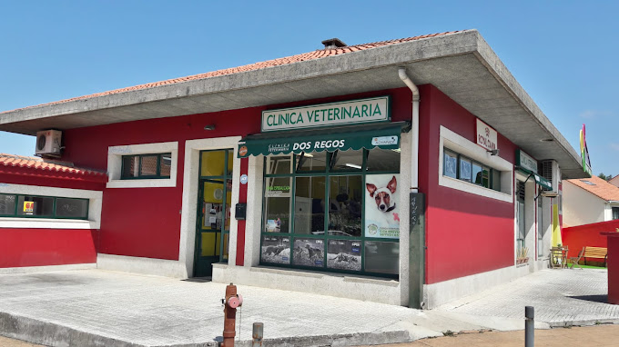 Club Canino Monte-Lleó - Clínica Veterinaria Dos Regos (Oleiros)