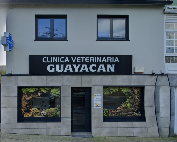 Guayacán Clínica Veterinaria (Oleiros)