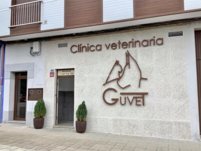 Clínica Veterinaria Guvet (Santa Comba)