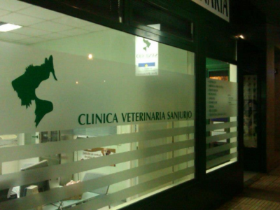 Clínica Veterinaria Sanjurjo (A Coruña)