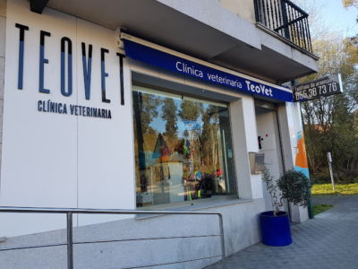 Clínica Veterinaria Teovet (Teo)