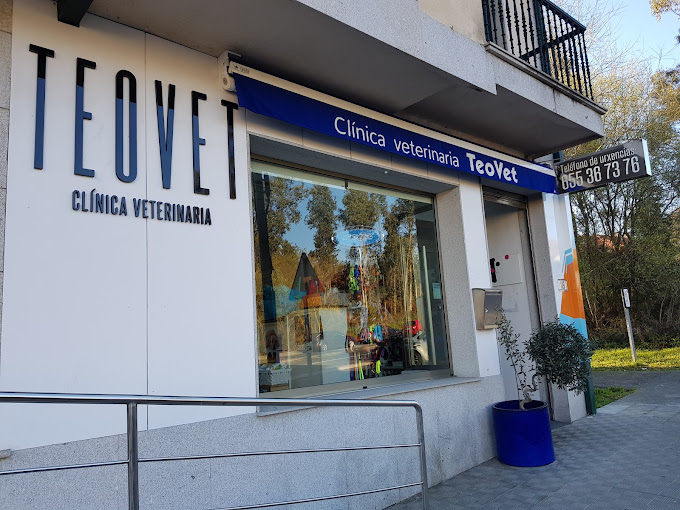 Clínica Veterinaria Teovet (Teo)