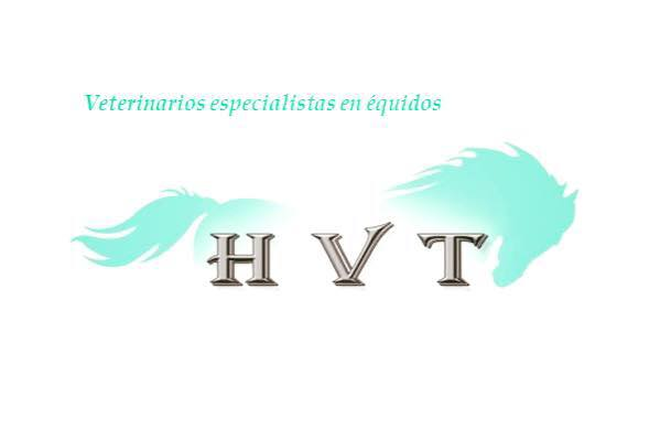 HVT Veterinarios (Albacete)