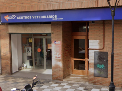 Clínica Veterinaria Nexo Cabot (Albacete)