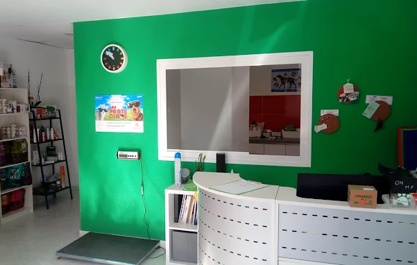 Centro Veterinario Manchuela (Casas-Ibáñez)