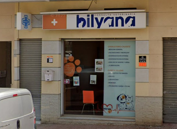 Consultorio Veterinario Bilyana (Caudete)