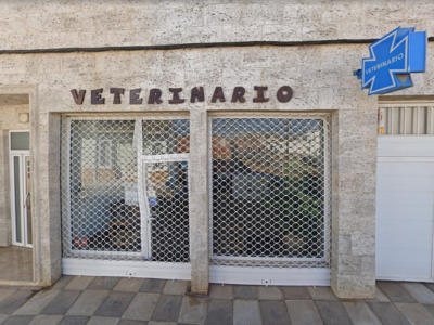Centro Veterinario Mestizos (Tarazona de la Mancha)