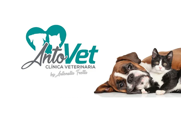 Clínica Veterinaria Antovet (Badajoz)