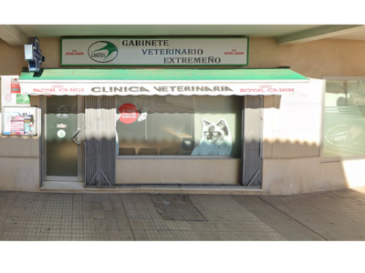 Clínica veterinaria GAVETEX (Montijo)