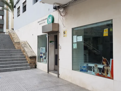 La Clínica del Estadio - Centro Veterinario (Cádiz)