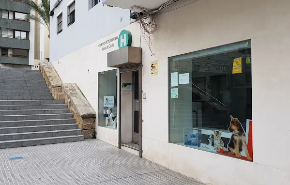 La Clínica del Estadio - Centro Veterinario (Cádiz)