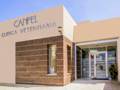 Canfel (Chiclana de la Frontera)