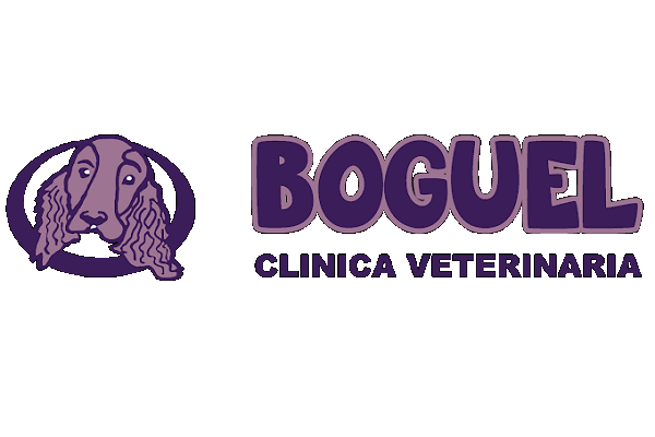 Boguel Clínica Veterinaria (Algeciras)