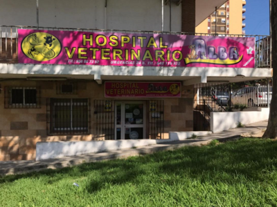Clínica Veterinaria Alba (Algeciras)