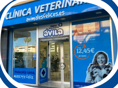 Clínica Veterinaria Ávila (Cádiz)