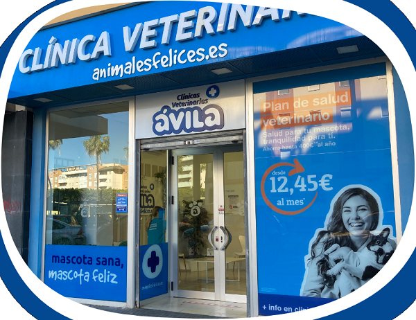 Clínica Veterinaria Ávila (Cádiz)