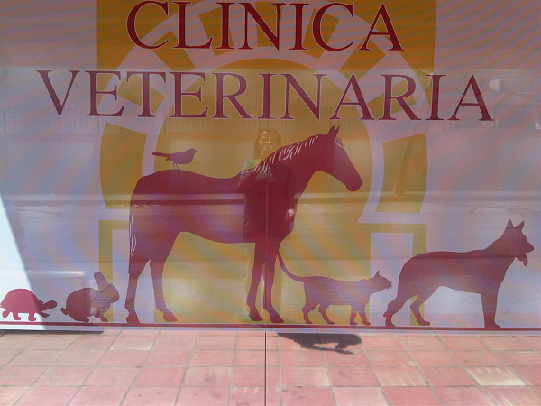 Clínica Veterinaria Al-Andalus (Rota)