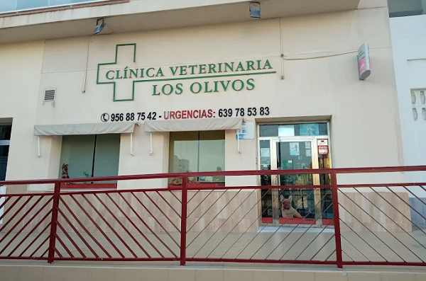 Clínica Veterinaria Los Olivos (San Fernando)
