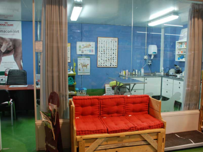 Animals Brunyola (Brunyola)