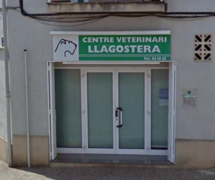 Centre Veterinari Llagostera (Llagostera)