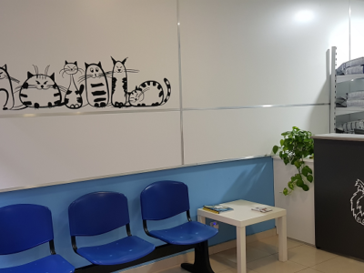 Centre Veterinari Sant Narcís (Girona)