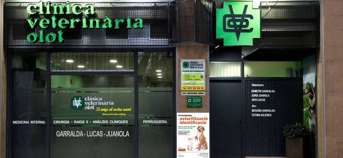 Clínica Veterinària Olot (Olot)