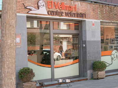 El VellMarí Centre Veterinari (Lloret de Mar)