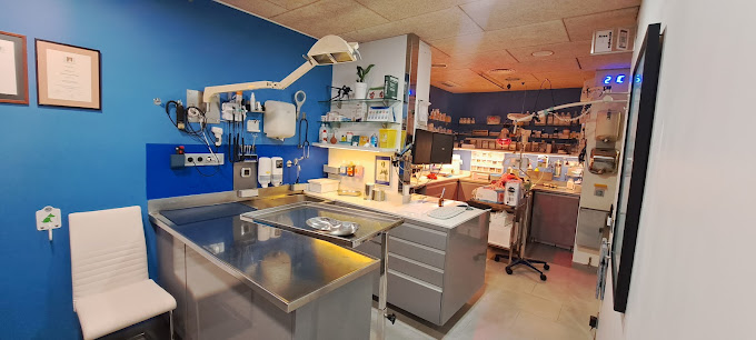 Praxis Veterinaria-Clínica veterinaria (Santa Coloma de Farners)