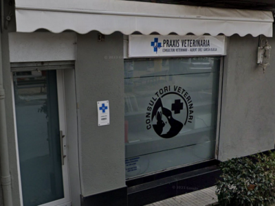 Praxis Veterinaria-Clínica veterinaria (Sant Hilari de Sacalm)