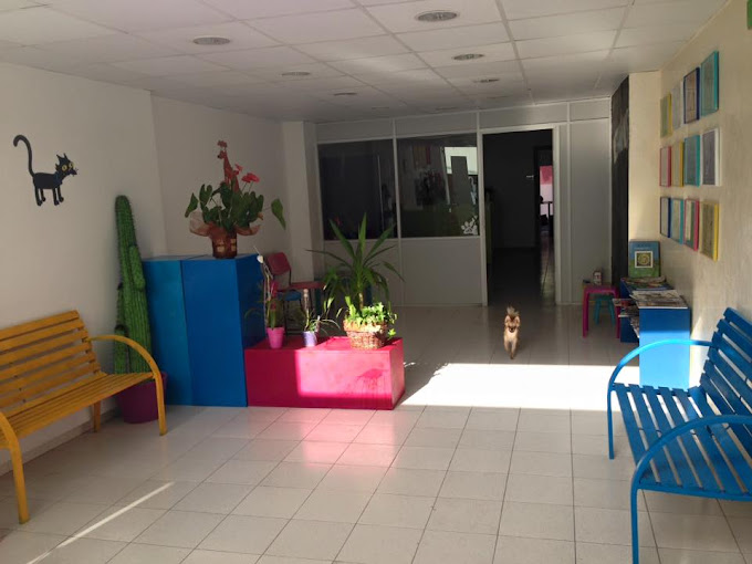 Vet-Animals (Figueres)