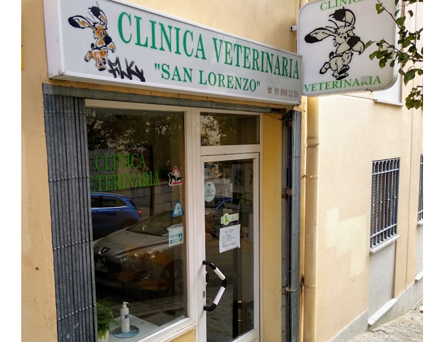Clínica Veterinaria San Lorenzo (San Lorenzo del Escorial)