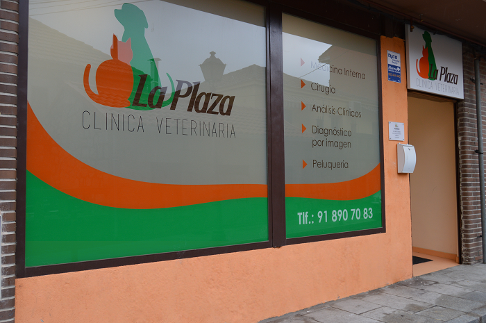La Plaza Clínica Veterinaria (San Lorenzo del Escorial)