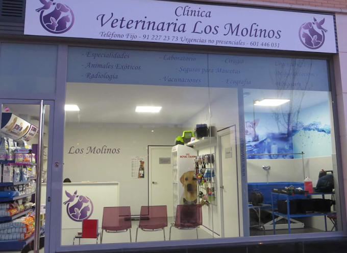 Clínica Veterinaria los Molinos (Getafe)