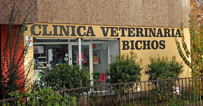 Clínica Veterinaria Bichos (Madrid)