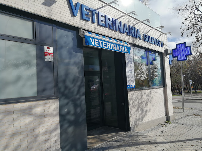 Clínica Veterinaria Bulevar (Madrid)