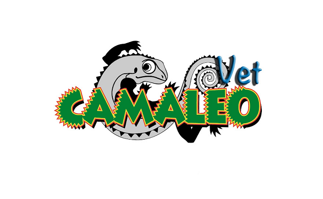 Centro veterinario Camaleo - CamaleoVet (Madrid)