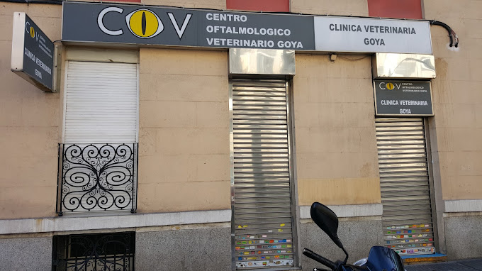 Centro Oftamológico Veterinario (Madrid)