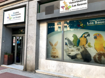 Medivet 24 Horas Los Sauces Chamberí (Madrid)